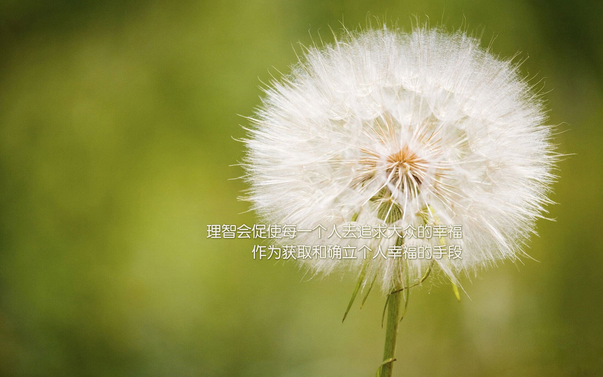 外交球场上的生死战,卡塔尔窒息时刻与迪马利亚的绝杀启示录