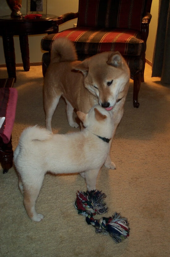 一个人的欧冠，一座城的狂欢，李刚仁如何定义德甲争冠战之夜