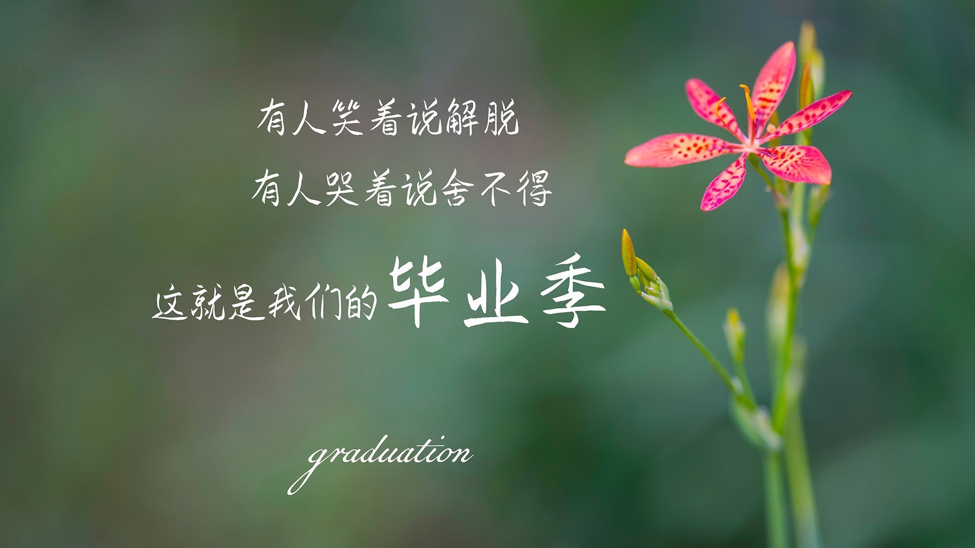 命运的两个剧本，马拉多纳的加时绝唱与孔德的门线神迹