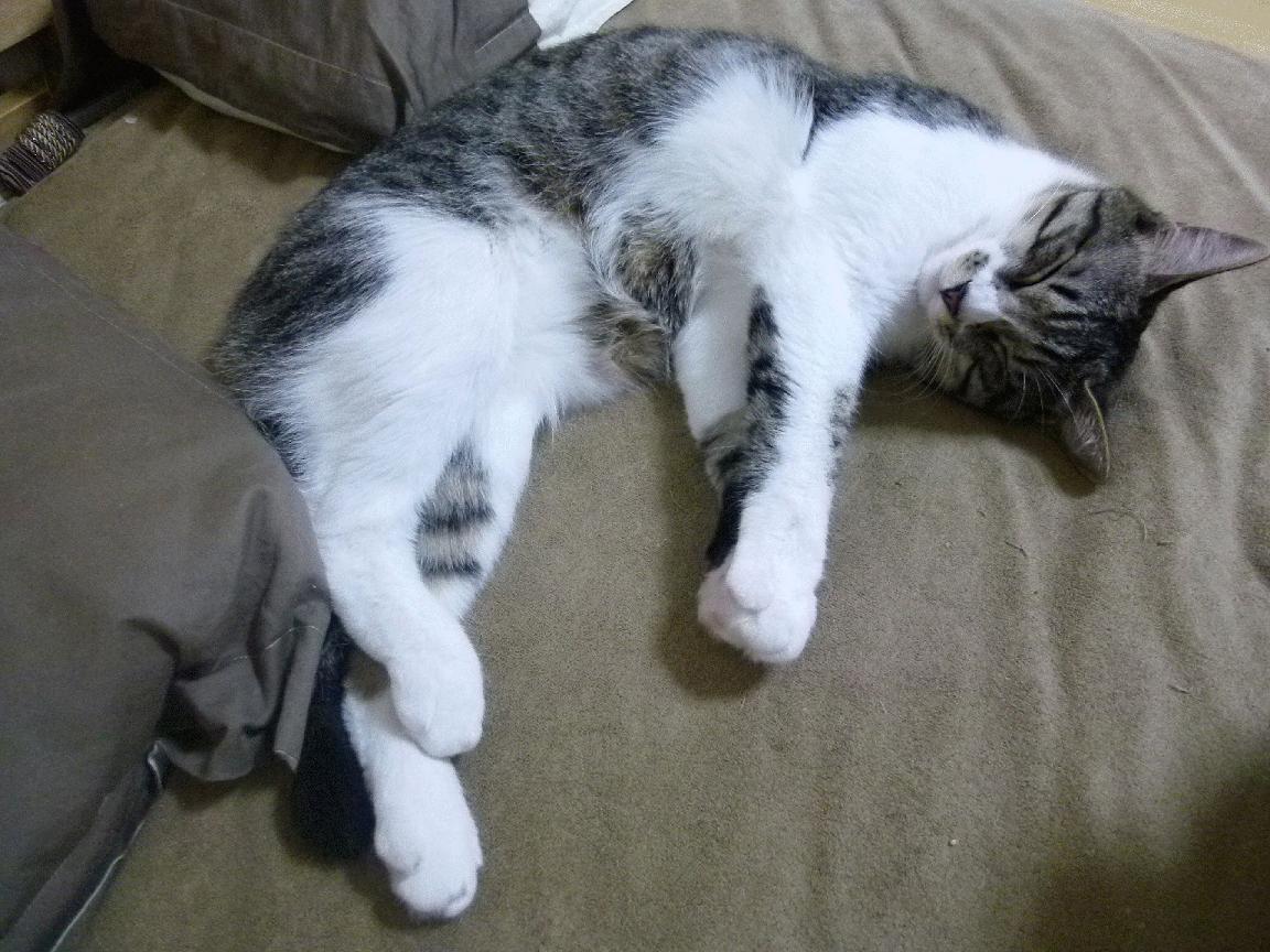 猎杀时刻，保罗关键三分如何浇灭火箭反扑火焰