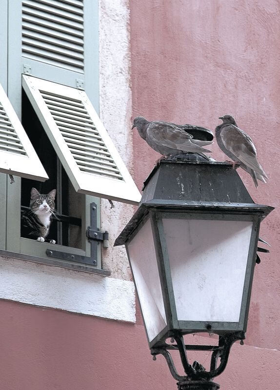 双重奏鸣,毕尔巴鄂的战术完胜与劳塔罗的个人接管