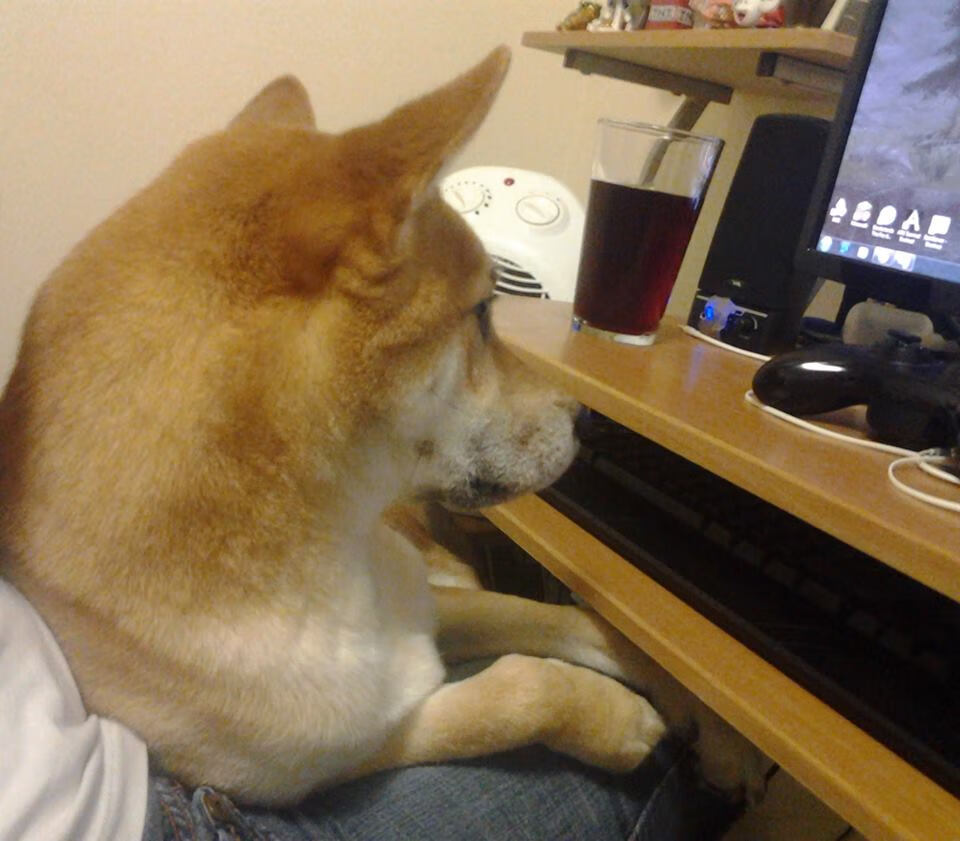 战术板上的签名,拉梅洛·鲍尔如何在火箭击溃马刺之夜完成自己的杰作