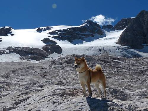 防守锁死，太阳末节翻盘湖人—哈利伯顿成胜负手