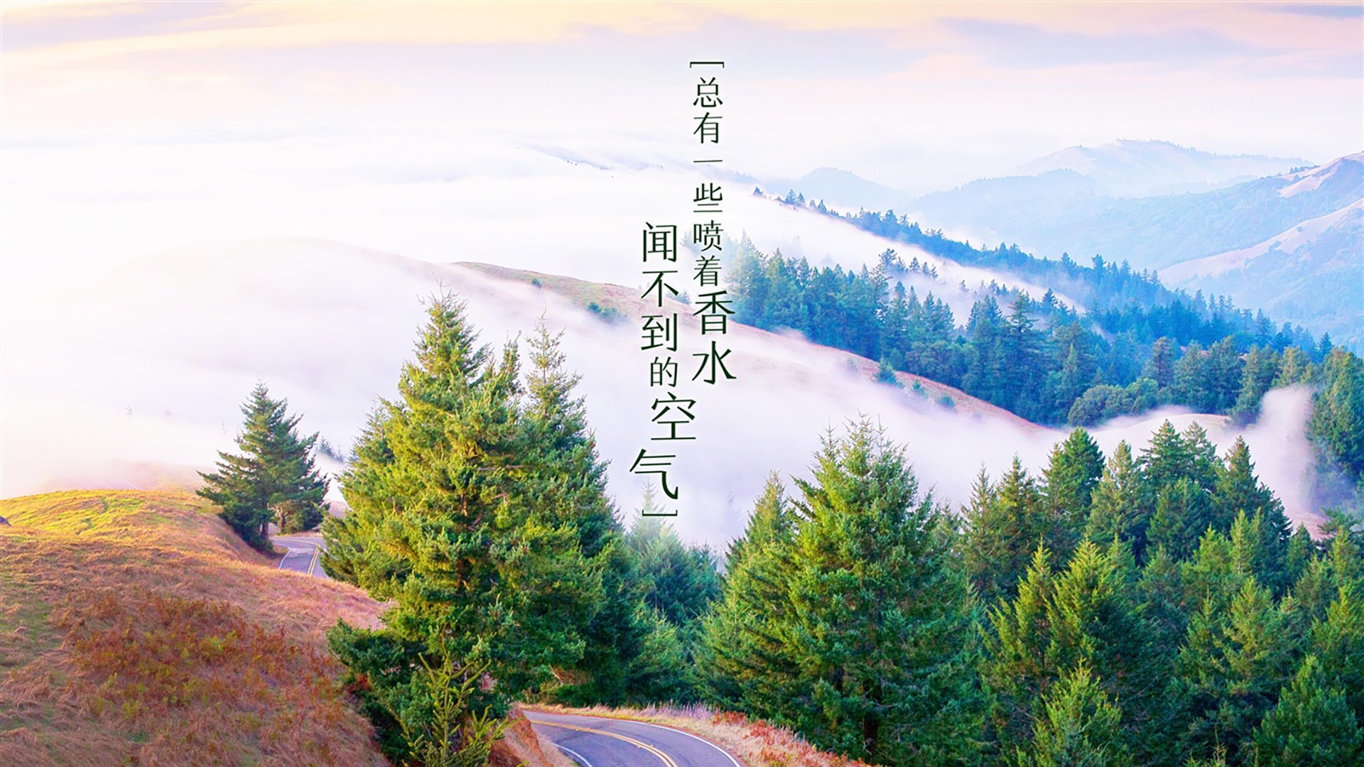 塞纳河畔的蓝色月光—2026世界杯法比之战，穆西亚拉用一脚写就的弑神记