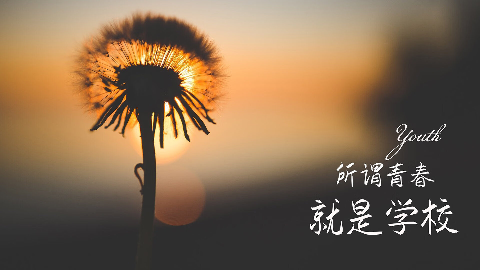 G组唯一悬念，葡萄牙5-0突尼斯，萨卡魔幻舞步导演大捷，替补奇兵一剑封喉
